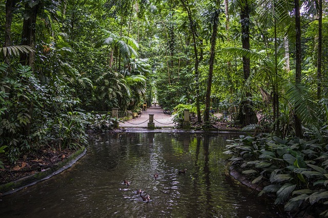 Amazonas Flusskreuzfahrten