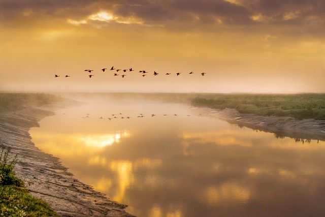 Morgenstunden auf dem Fluss