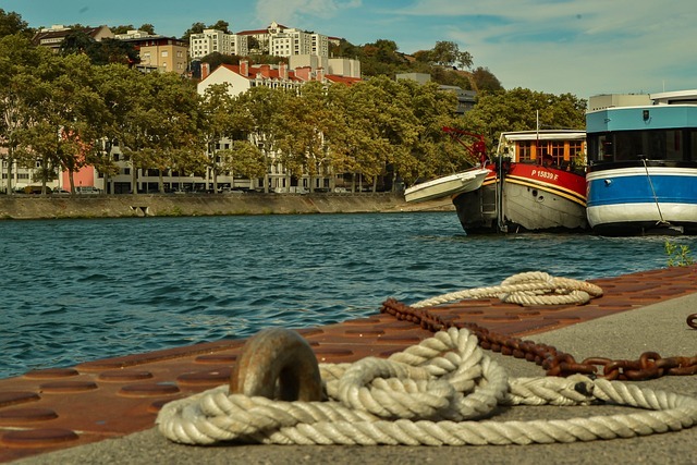 Flussreisen auf der Rhône genießen.