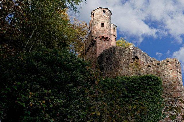 Entdecke die faszinierende Neckar-Flussreise