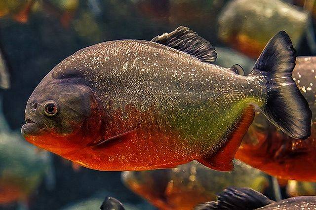 Jetzt eintauchen: spektakuläre Landschaften erleben